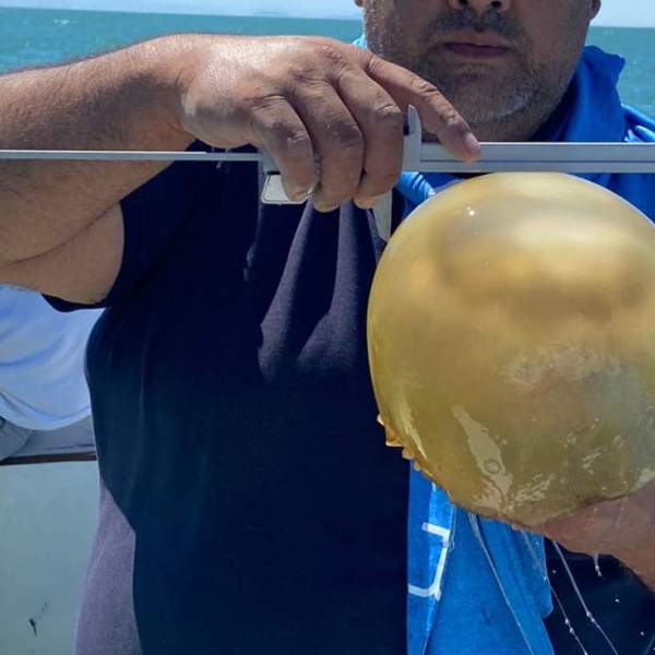 Favorece Gobierno de Sonora a pescadores con asistencia técnica y de organización en el Golfo de Santa Clara