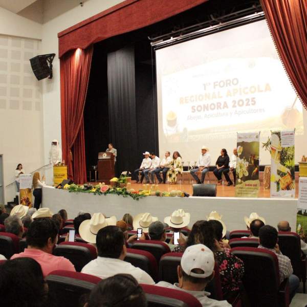 Gobierno de Sonora impulsa el Foro Regional Apícola para fortalecer la producción de miel